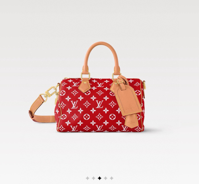 1V BAG B0113-228