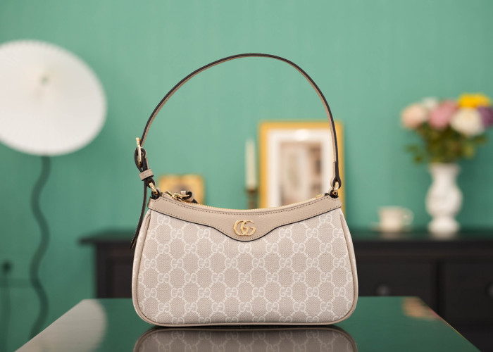 C0a*h BAG B0113-241