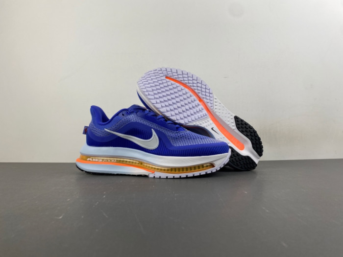 Nike Pegasus PreM1vm 