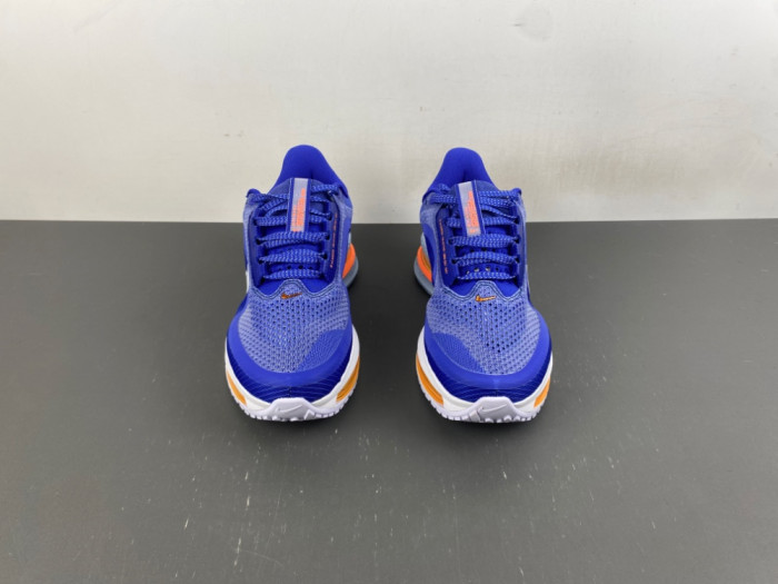 Nike Pegasus PreM1vm 