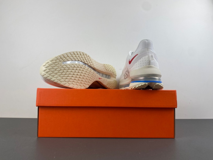 Nike Air Zoom Pegasus PreM1vm 