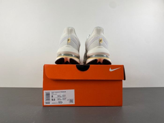 Nike Air Zoom Pegasus PreM1vm Sail Alabaster HQ2593 -104