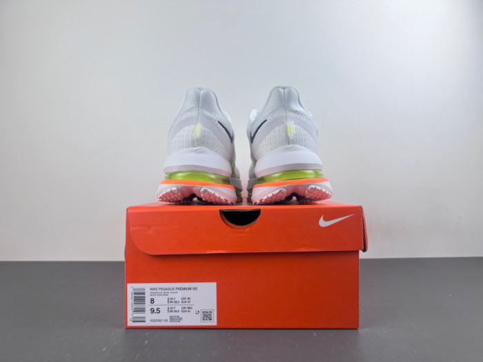 Air Zoom Pegasus PreM1vm 