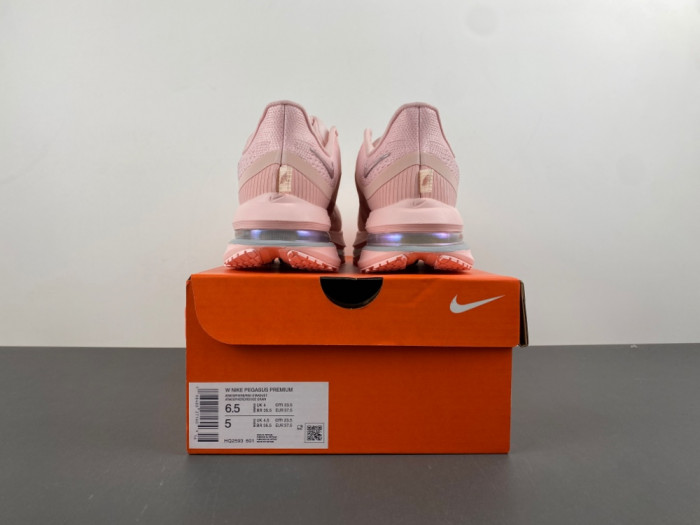 Nike Air Zoom Pegasus PreM1vm HQ2593-601