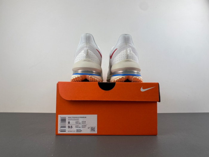 Nike Air Zoom Pegasus PreM1vm 