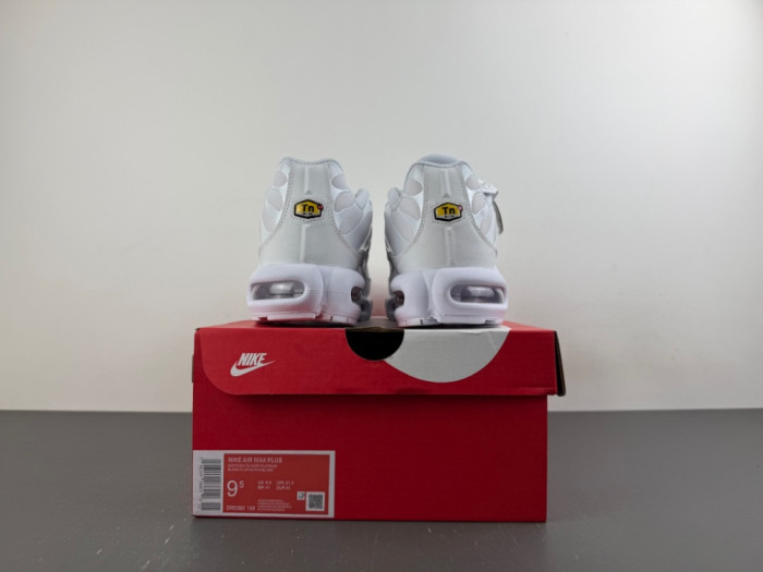 Nike Wmns Air Max Plus 