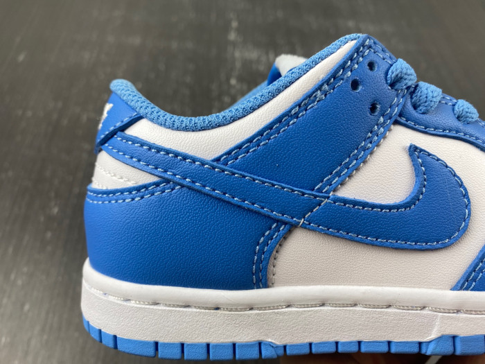 kids nike dunk low 