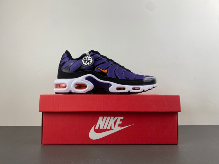Nike Air Max Plus OG 