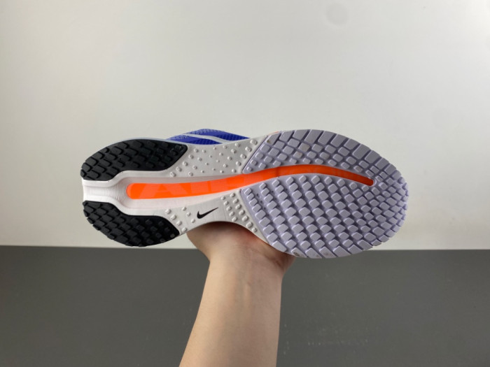 Nike Pegasus PreM1vm 