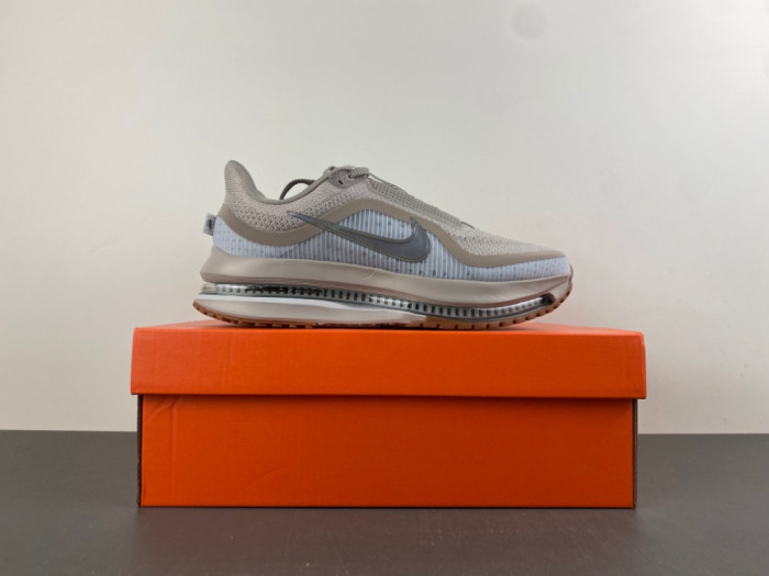 Nike Air Zoom Pegasus PreM1vm College Grey Gum HQ2592-010