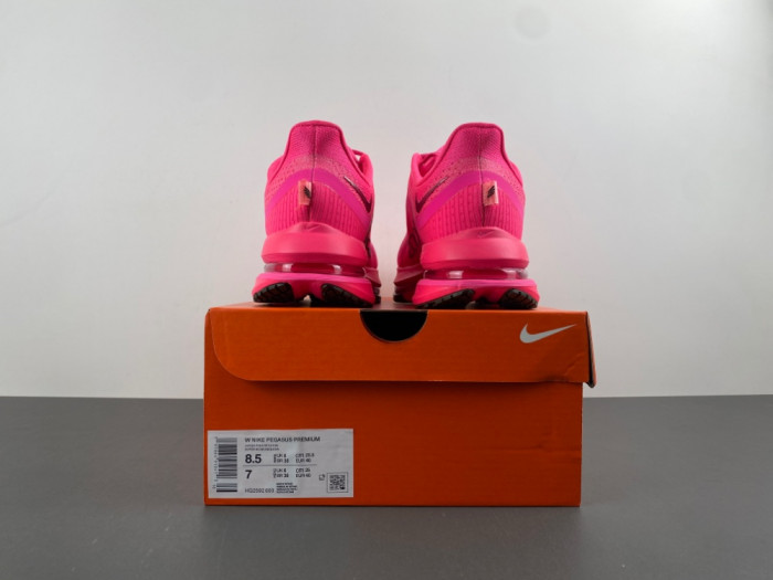 Nike Air ZoomX Pegasus PreM1vm HQ2592-600
