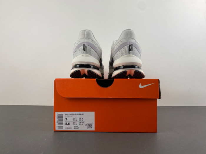 Nike Air Zoom Pegasus PreM1vm Run IH2288-001