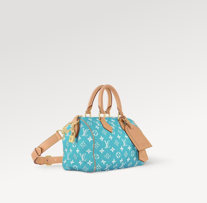 1V BAG B0113-229