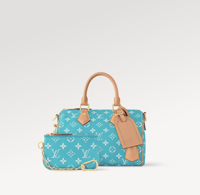 1V BAG B0113-229