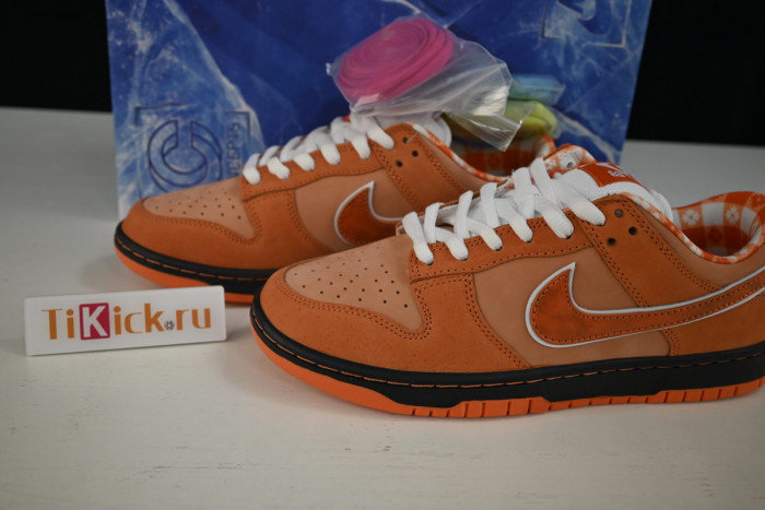 concepts x nike sb dunk low "orange lobster" fd8776-800