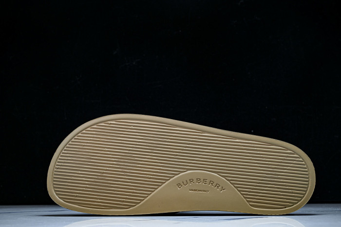 BUR ** slides BUR-428032