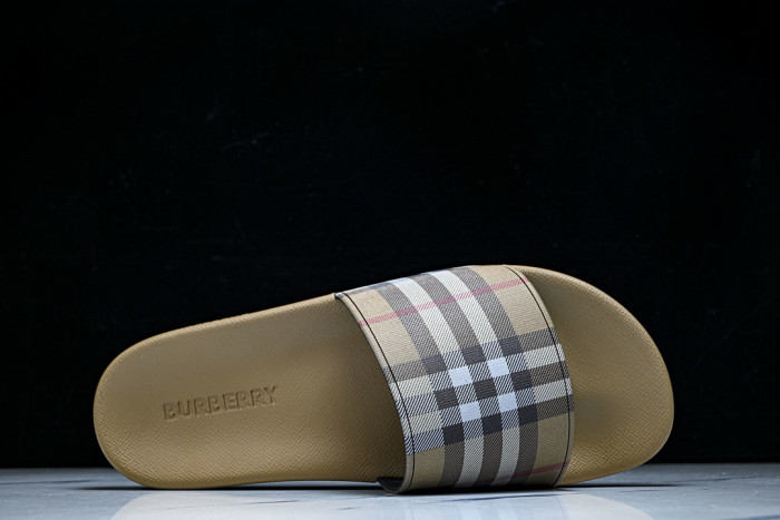 BUR ** slides BUR-428032