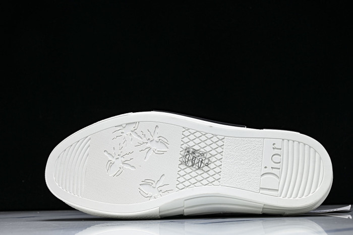 D10R B23 Sneakers DR1256-5613