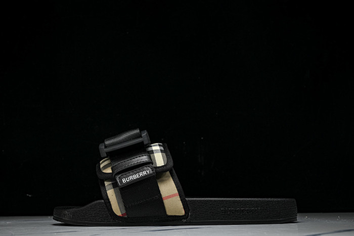 BUR ** slides BUR-428029