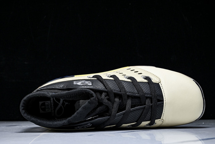 Air Jordan 17 Retro Low SP Infinite Archives IH0177-200