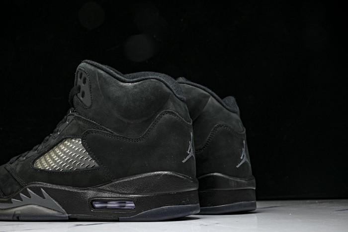 Air Jordan 5 Retro SE 