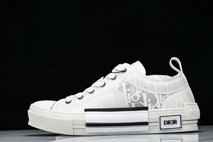 D10R B23 Sneakers DR1256-5613