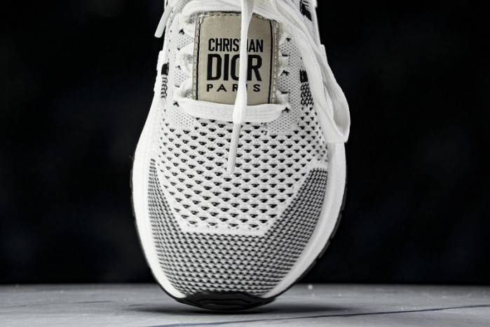 D10R Sneaker D896-171