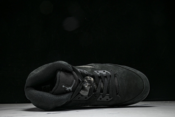 Air Jordan 5 Retro SE 