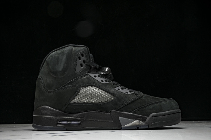 Air Jordan 5 Retro SE 