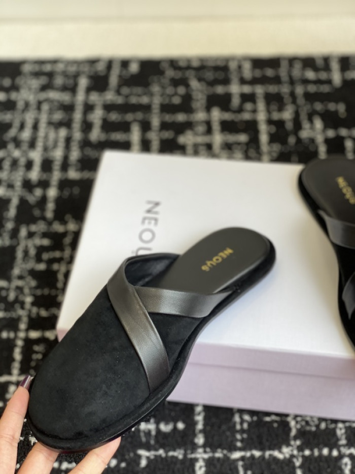 NEOUS Slides OT0104-034