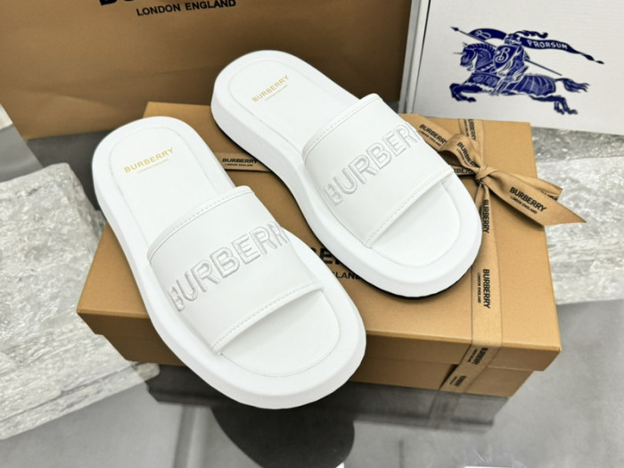 bur ** slides bur-428019