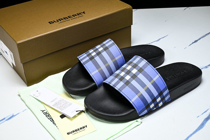 BUR ** slides BUR-428031