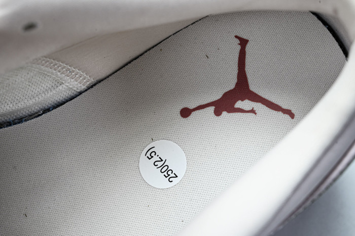 Air Jordan 1 Low SE 